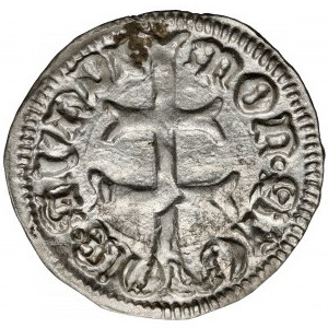 Uhersko, Zikmund Lucemburský (1387-1437), denár