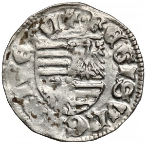 Hungary, Sigismund of Luxembourg (1387-1437), Denar