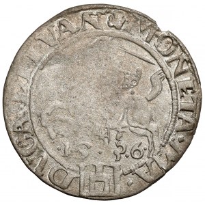 Sigismund I. der Alte, Wilnaer Pfennig 1536 - Brief F - Februar