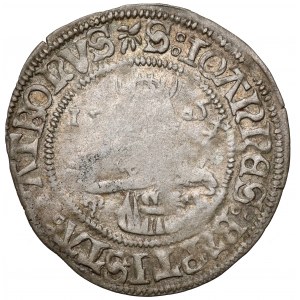 Slezsko, Vladislav II Jagellonský, Grosz Vratislav 1505 - velmi vzácné