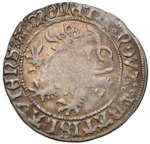 Śląsk, Władysław II Jagiellończyk, Grosz Wrocław 1505 - b.rzadki