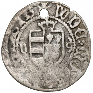 Moldawisches Hospodardom, Elias I. (1432-1433), Suceava-Pfennig - selten