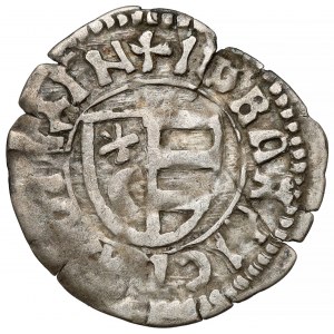 Rumunia, Hospodarstwo Wołoskie, Władysław II (1447-56), Ducati bez daty