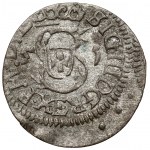 Zikmund III Vasa, Vilnius 1615 - chyba v datu 1651