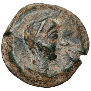 Kelten, Spanien, Castulo, Semis (2. Jahrhundert v. Chr.)