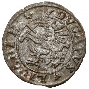 Inflantáty, Dahlenova polica 1572