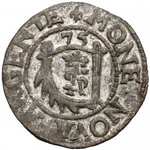 Courland, Gotard Kettler, Regal Mithawa 1575 - groß, gepunktet