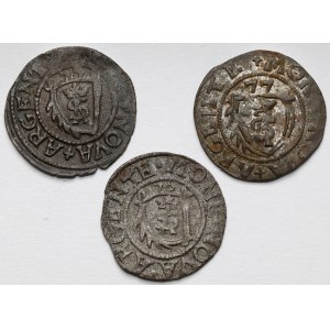 Courland, Gotard Kettler, Mithavian shells 1575-1577 - sada (3ks)