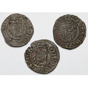 Kurlandia, Gotard Kettler, Szelągi Mitawa 1575-1577 - zestaw (3szt)