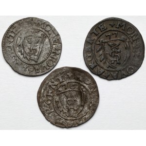 Kurlandia, Gotard Kettler, Szelągi Mitawa 1575-1577 - zestaw (3szt)