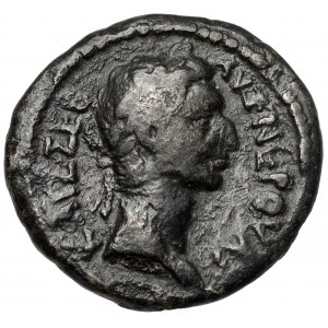 Nerva (96-98 n. l.) Tetradrachma, Alexandrie