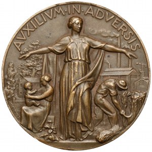 Taliansko, medaila 1938 - Auxilium in Adversis