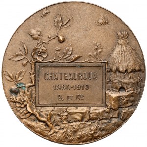 Francúzsko, medaila 1910 - Chateauroux