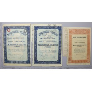 Schlesische Bergwerke und Zinnwerke, 100 Zloty 1924-1937 (3Stk)