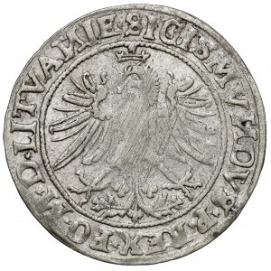 Sigismund I. der Alte, Wilnaer Pfennig 1535