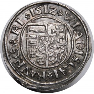 Ungarn, Ladislaus II. Jagiellone (1490-1516), Denar 1512