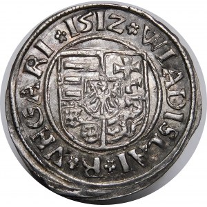 Węgry, Władysław II Jagiellończyk (1490-1516), denar 1512