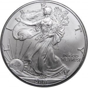 USA, 1 dolar 2001, American Eagle