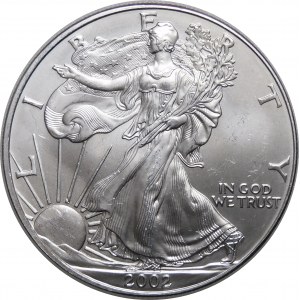 USA, $1 2002, American Eagle