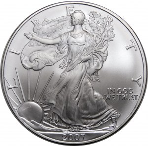 USA, 1 dolar 2007, American Eagle