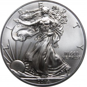 USA, 1 Dollar 2014, American Eagle
