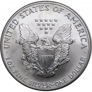 USA, 1 dolar 1991, American Eagle