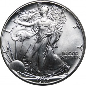 USA, 1 dolar 1987, American Eagle