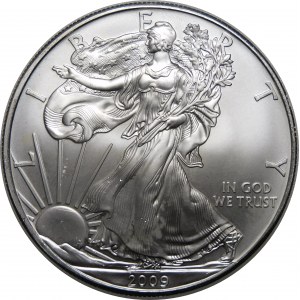 USA, $1 2009, American Eagle