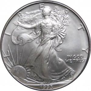 USA, 1 dolar 1993, American Eagle