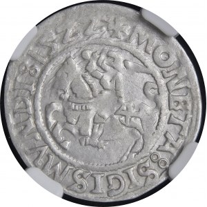 Sigismund I. der Alte, Halber Pfennig 1522, Vilnius - Punkt - selten
