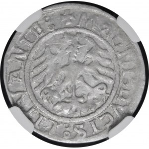 Sigismund I. der Alte, Halber Pfennig 1522, Vilnius - Punkt - selten