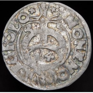 Sigismund III Vasa, Half-track 1625, Bydgoszcz - Chmielnicki imitation - rare