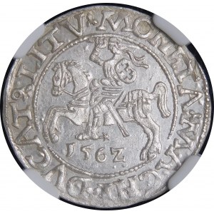 Sigismund II Augustus, Half-grosz 1562, Vilnius - 18 Pogon, LI/LITV