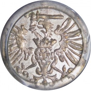 Bezkrólewie, Denar 1573, Gdańsk - piękny