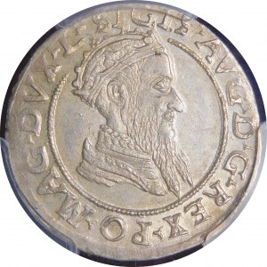 Zygmunt II August, Czworak 1569, Wilno - L/LITV - piękny