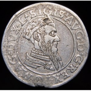 Sigismund II Augustus, Vierfaches 1566, Wilna - L/LIT
