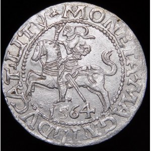 Sigismund II Augustus, Halbergroschen 1564, Wilna - 21 Pogon, Axt, L/LITV