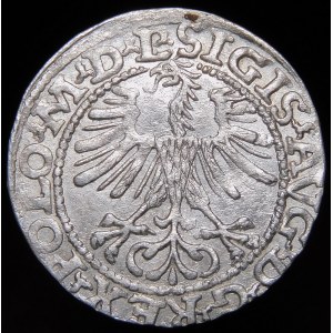 Sigismund II Augustus, Halbergroschen 1564, Wilna - 21 Pogon, Axt, L/LITV