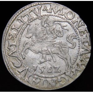 Sigismund II Augustus, Half-grosz 1562, Vilnius - 18 Pogon, L/LITV