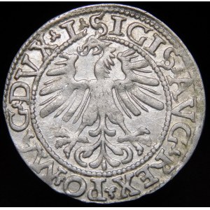 Zygmunt II August, Półgrosz 1562, Wilno - 18 Pogoń, L/LITV