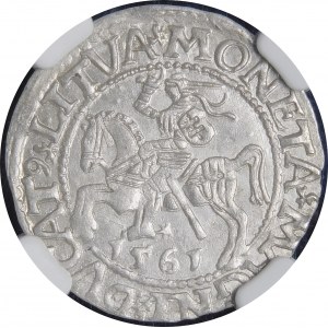 Sigismund II Augustus, Halbpfennig 1561, Wilna - 14 Adler, L/LITVA