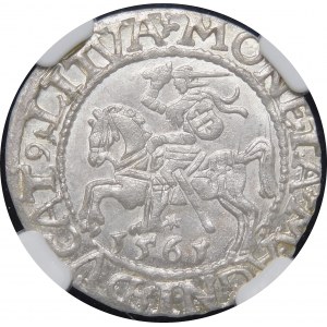 Sigismund II Augustus, Half-penny 1561, Vilnius - 14 Eagle, L/LITVA - beautiful