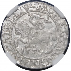 Sigismund II Augustus, Half-penny 1559, Vilnius - L/LITV - beautiful
