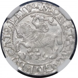 Sigismund II Augustus, halber Pfennig 1559, Vilnius - L/LITV - schön