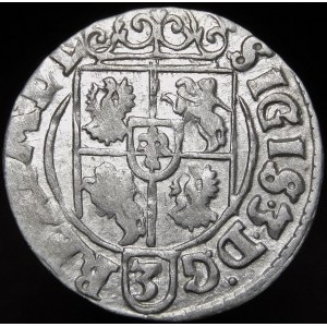 Sigismund III Vasa, Half-track 1625, Bydgoszcz - Saxon in decorative shield