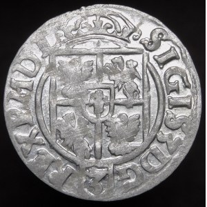 Sigismund III. Vasa, Półtorak 1622, Bydgoszcz - Sachse im ovalen Schild