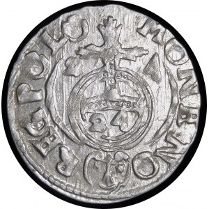 Sigismund III. Vasa, Półtorak 1624, Bydgoszcz - Sachse im ovalen Schild - Variante