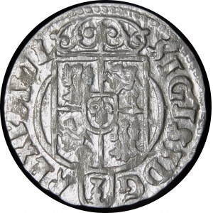 Zygmunt III Waza, Półtorak 1624, Bydgoszcz - Sas w tarczy owalnej - wariant
