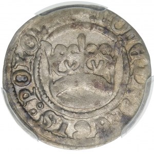 Alexander Jagiellonian, Half-penny Cracow