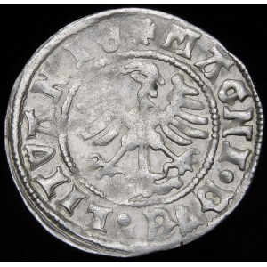 Alexander Jagiellonian, Half-penny of Vilnius - Renaissance - 7th issue